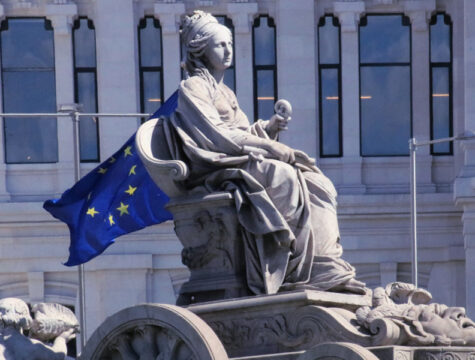 statue of the statue representing how the EU law influence the provision of social services in its States Members