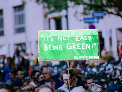 The role of social services in the transition to ecologically sustainable welfare states has not been studied systematically.